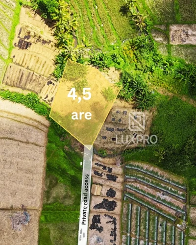 1.2-Belalang-Village