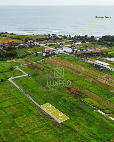 1.3-are-Belalang-Village