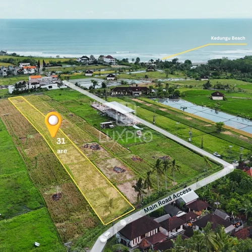 1.6-Belalang-Village